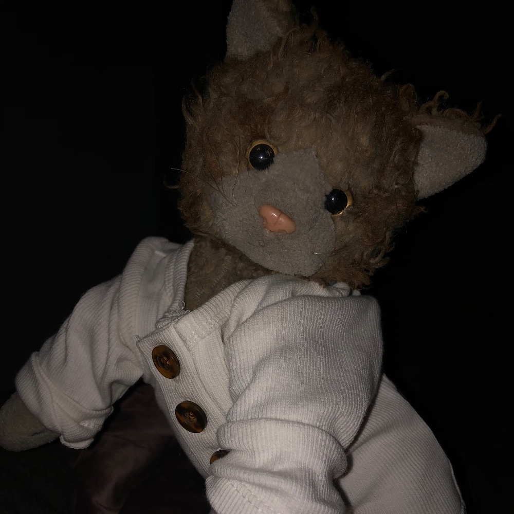 Meet your Posher, Matticat